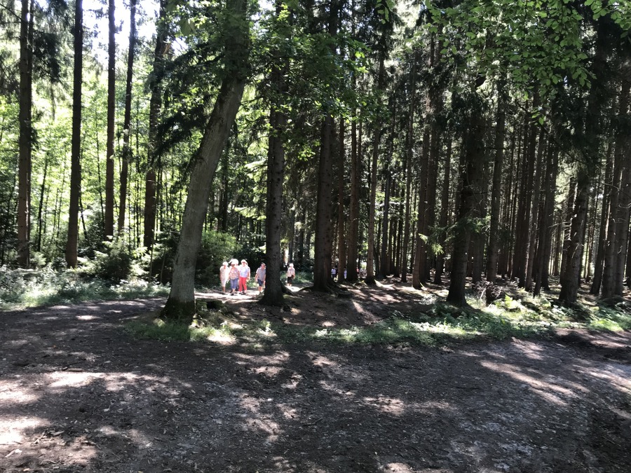 8 _5.Waldgottesdienst